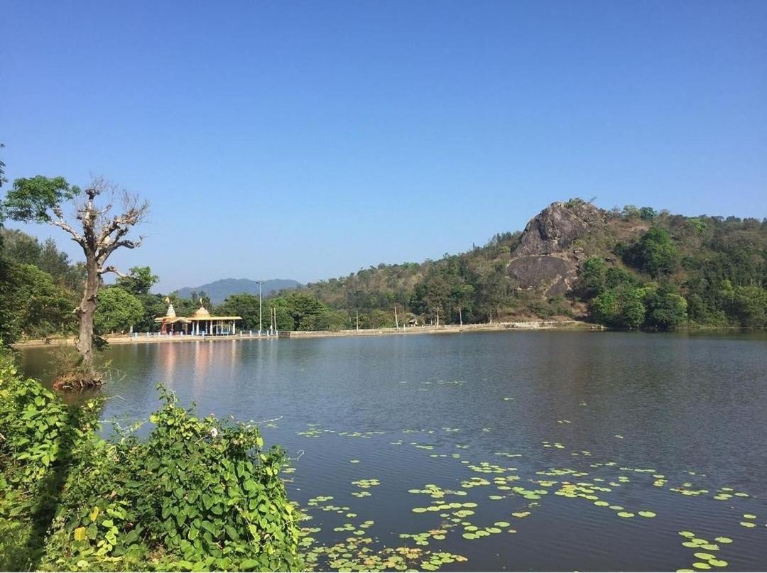 Little bungalow Holiday Home, Coorg view 3