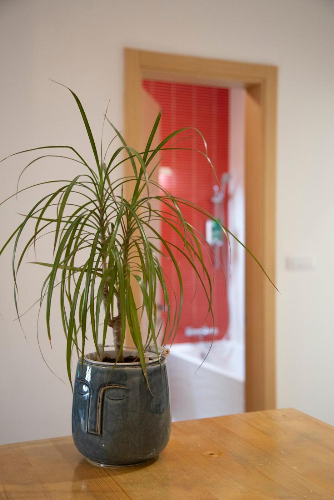 Sava apartment