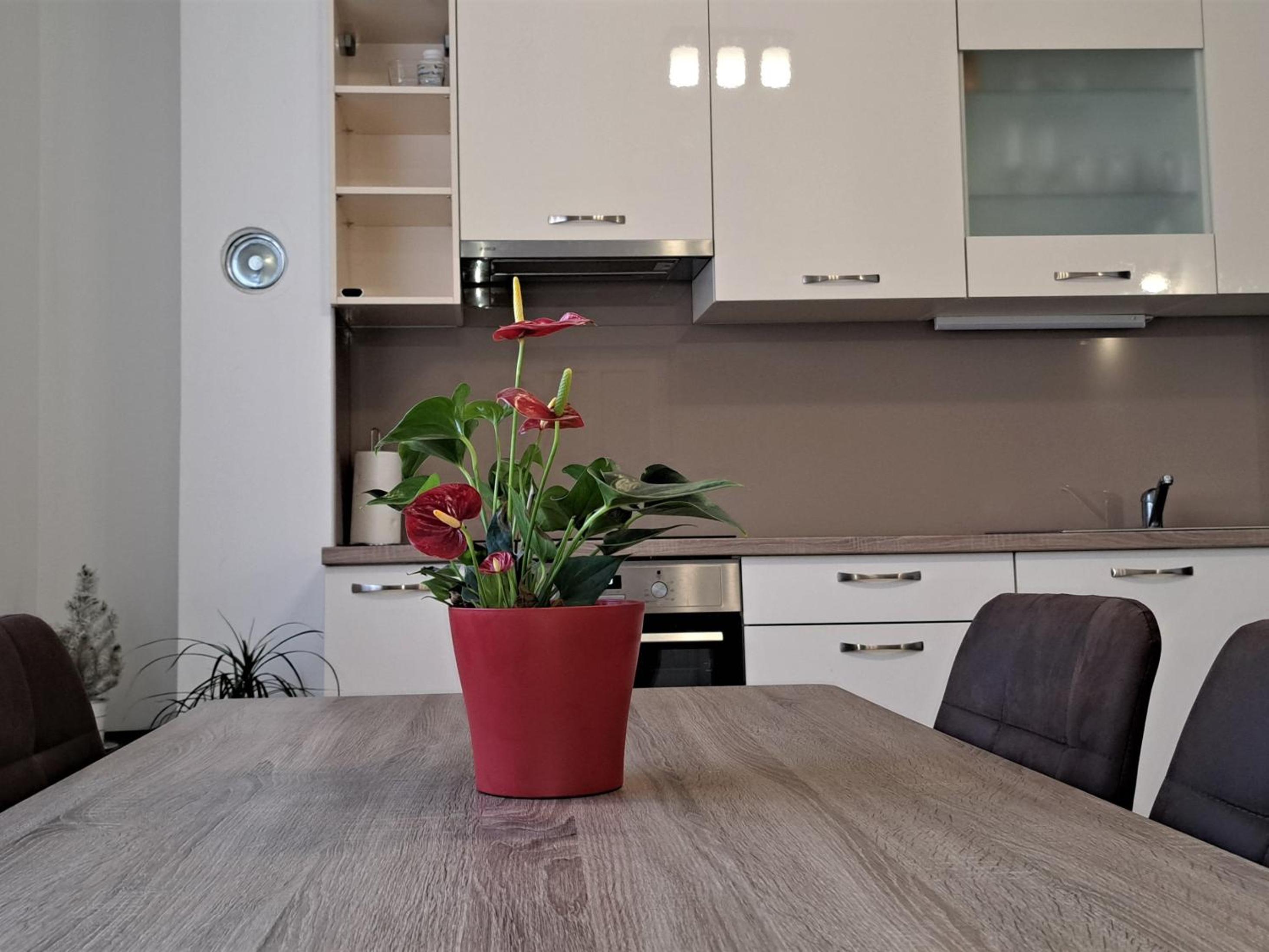Holiday apartman