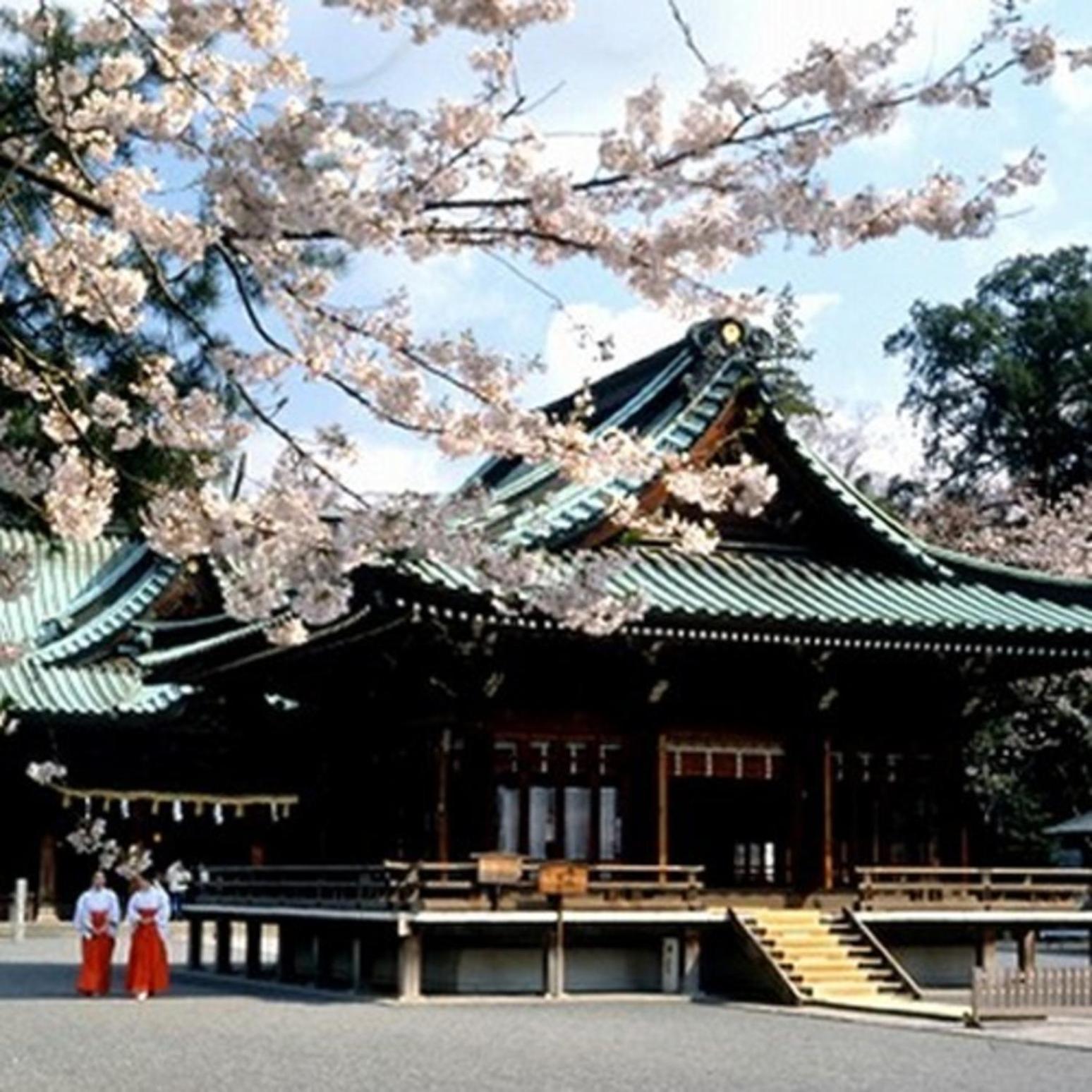 New Hakkeien