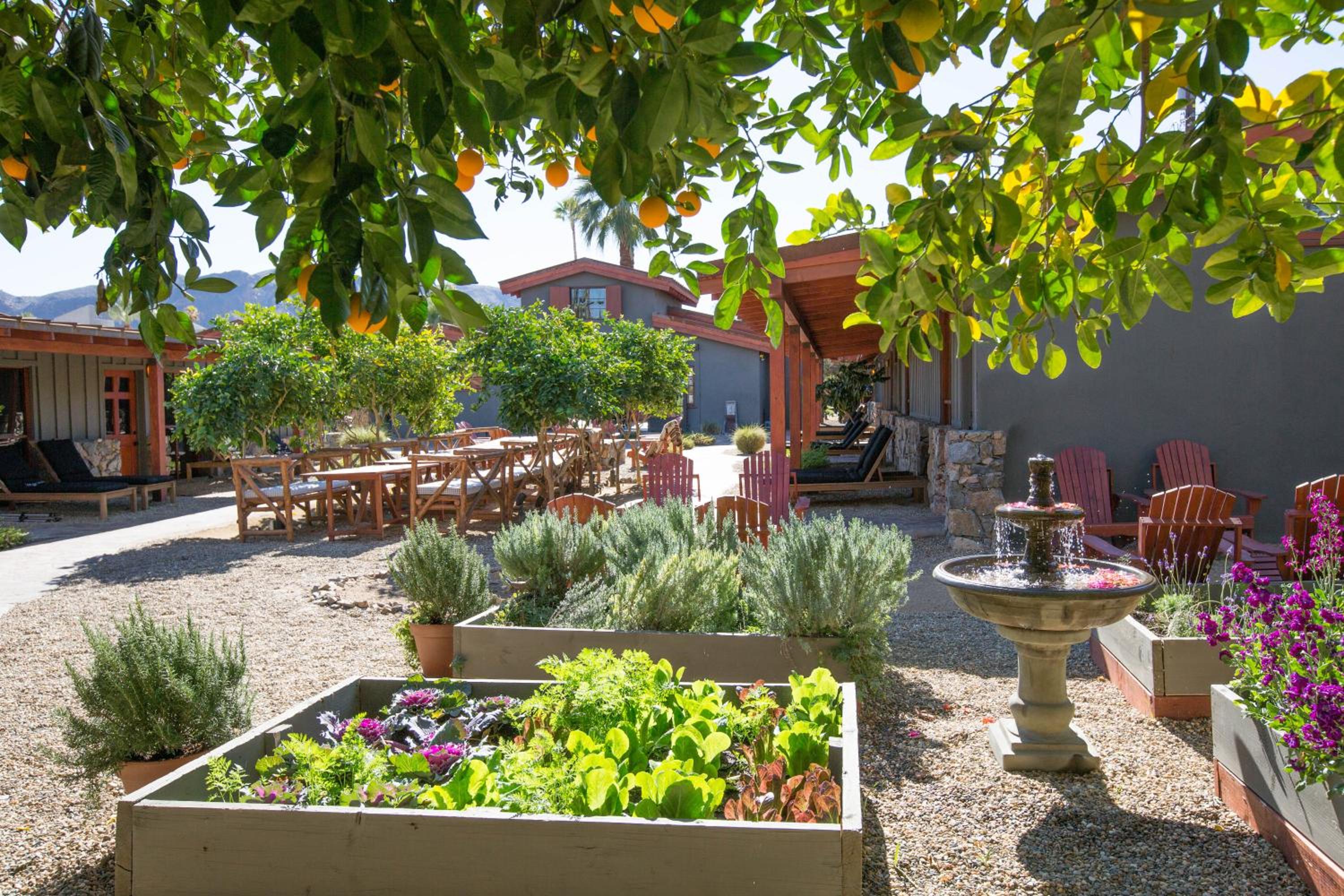 Palm Springs Vacations - Sparrows Lodge - Property Image 8