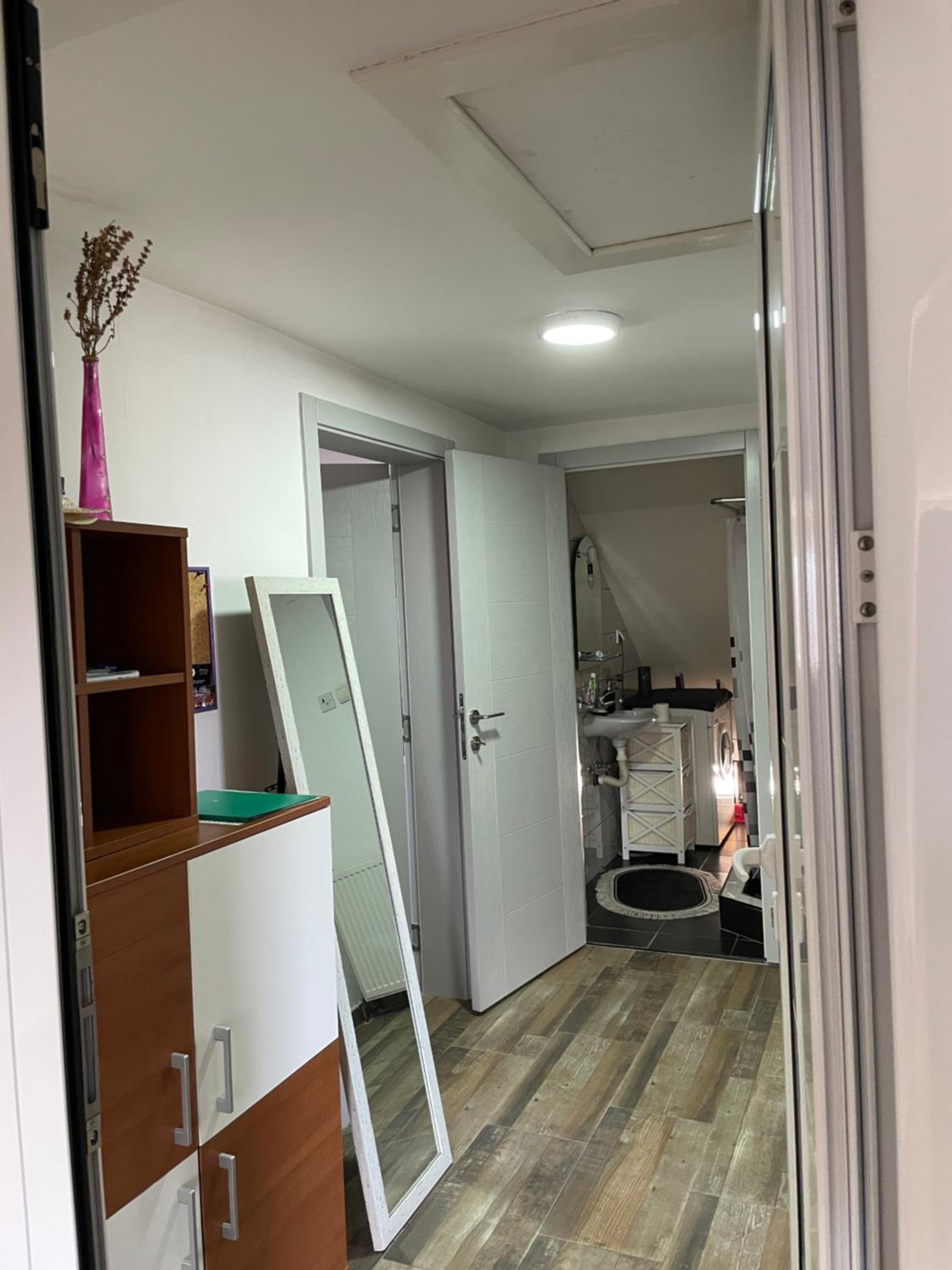 Delfin apartment