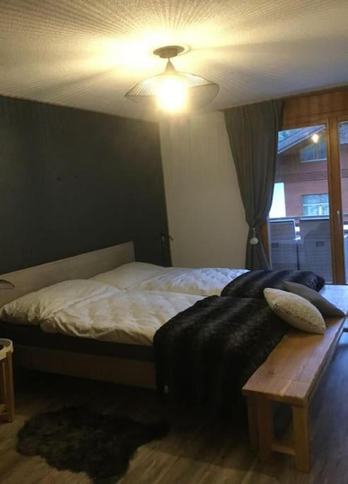 Magnifique appartement de montagne