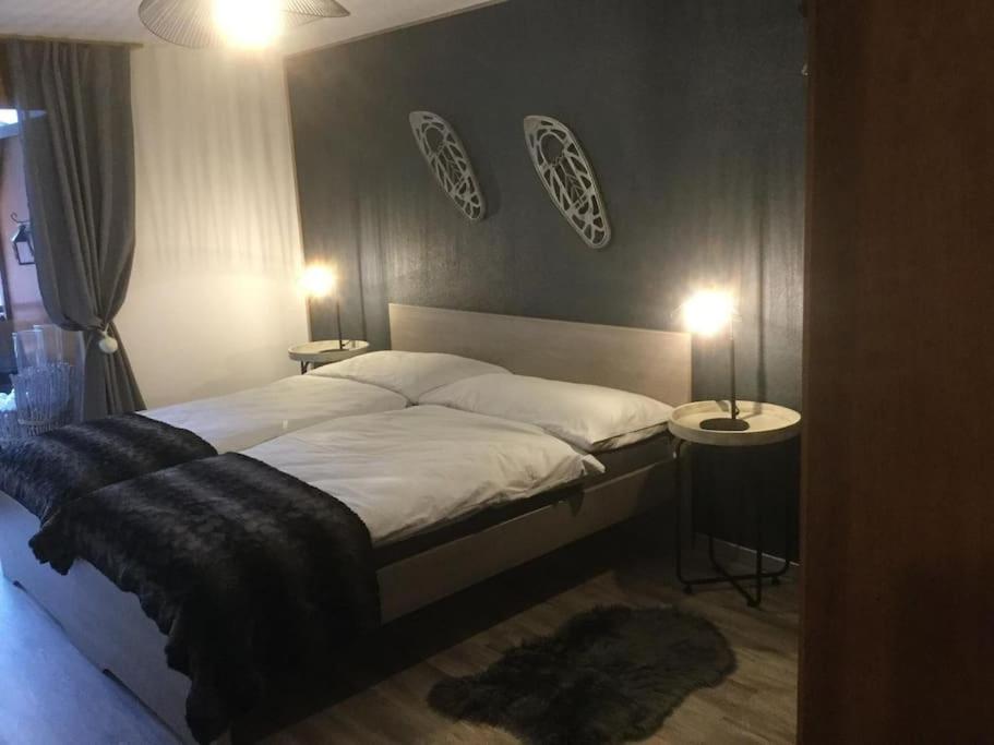 Magnifique appartement de montagne