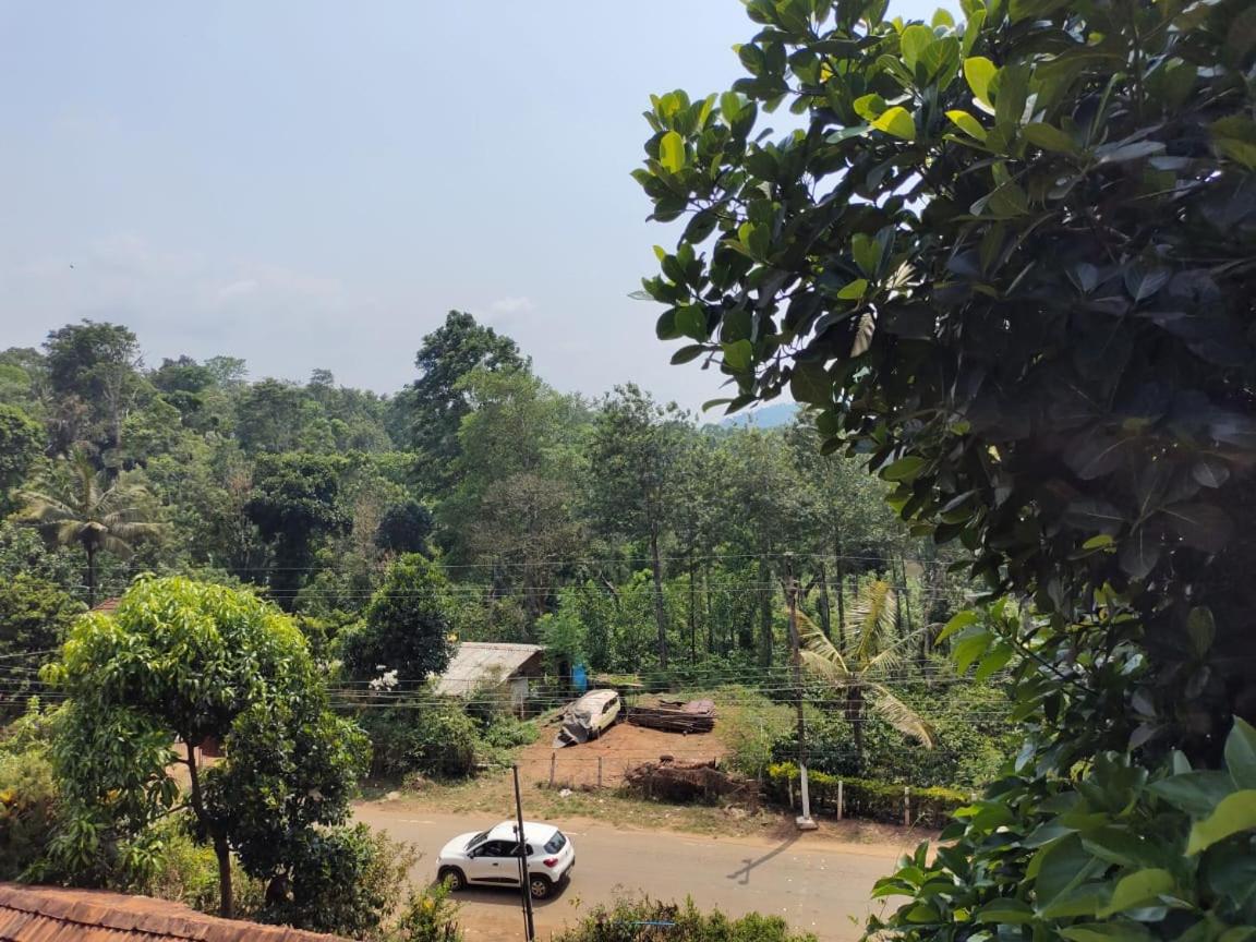 Green Land Estate Homestay 5 Rooms With Garden View