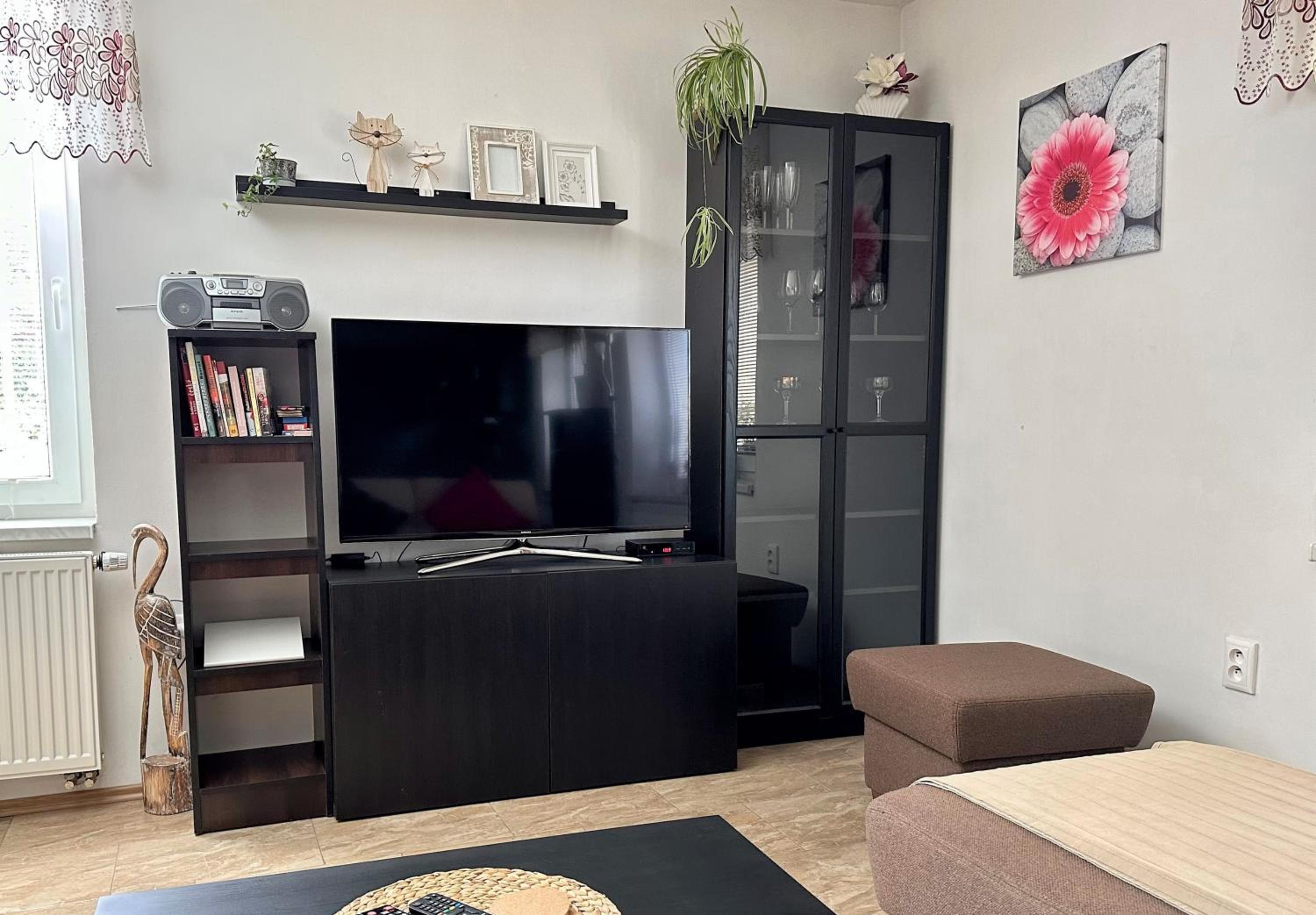 Apartment Boroví