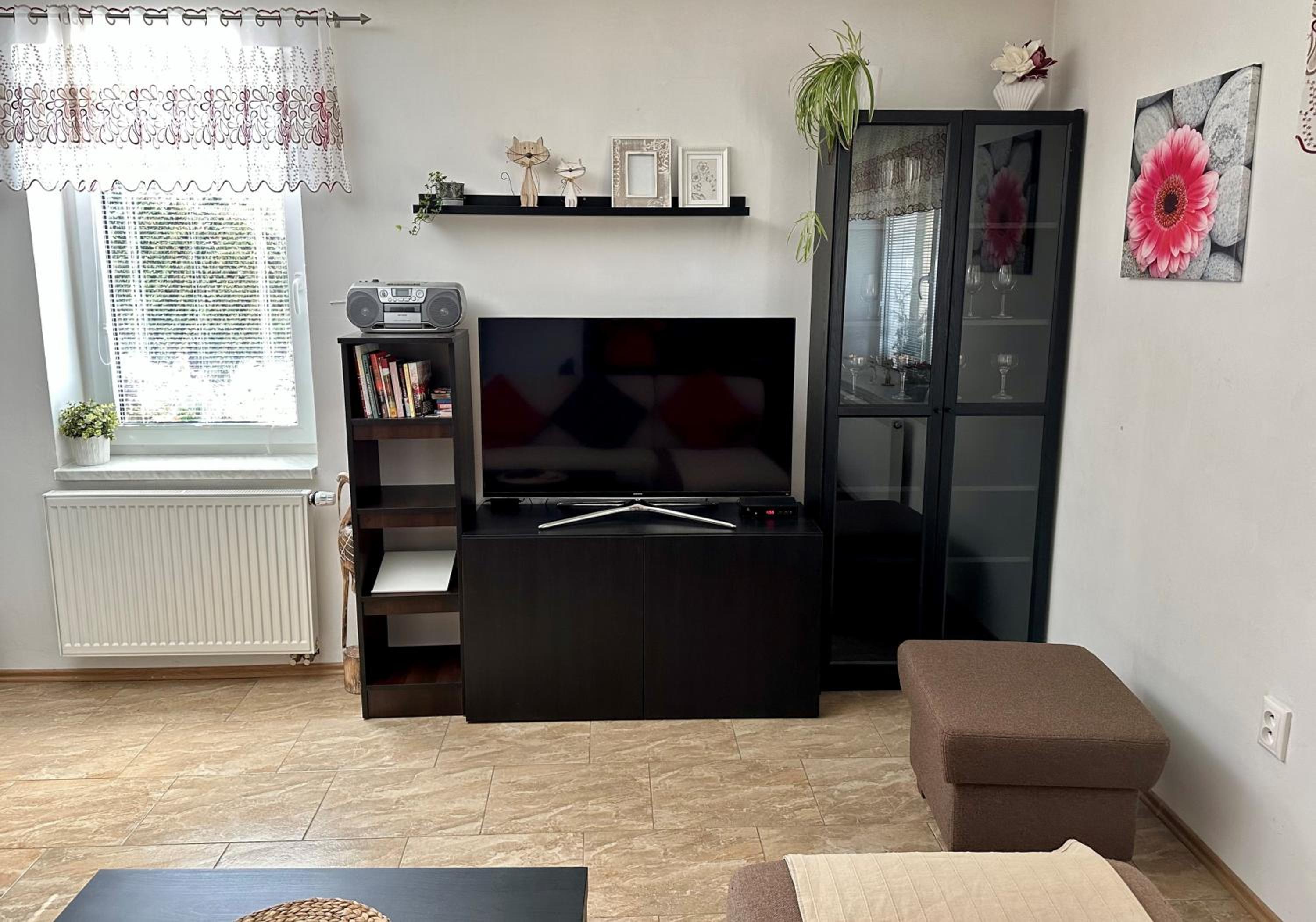Apartment Boroví
