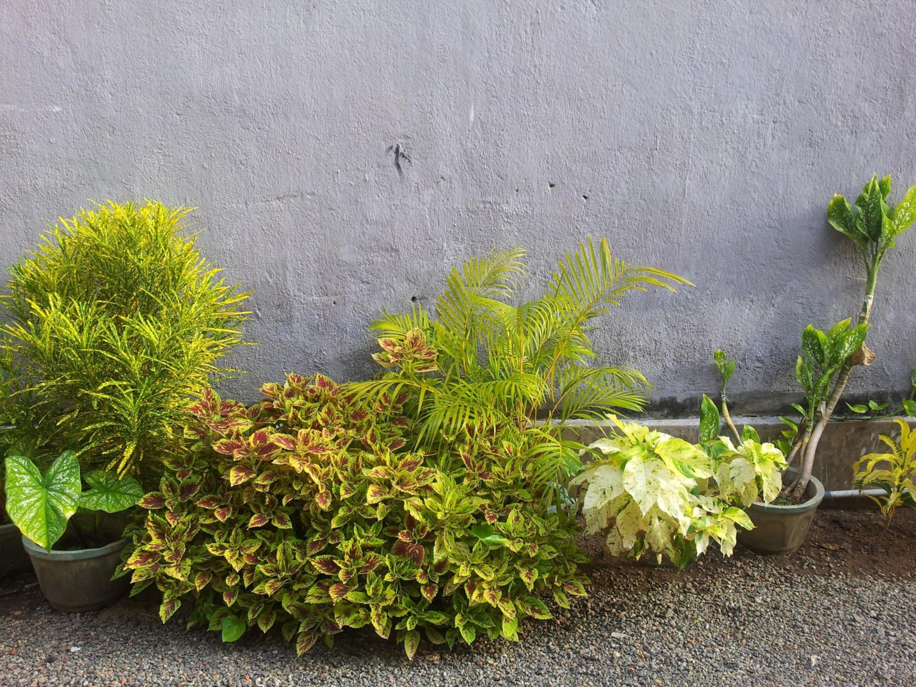 Janishi Residencies