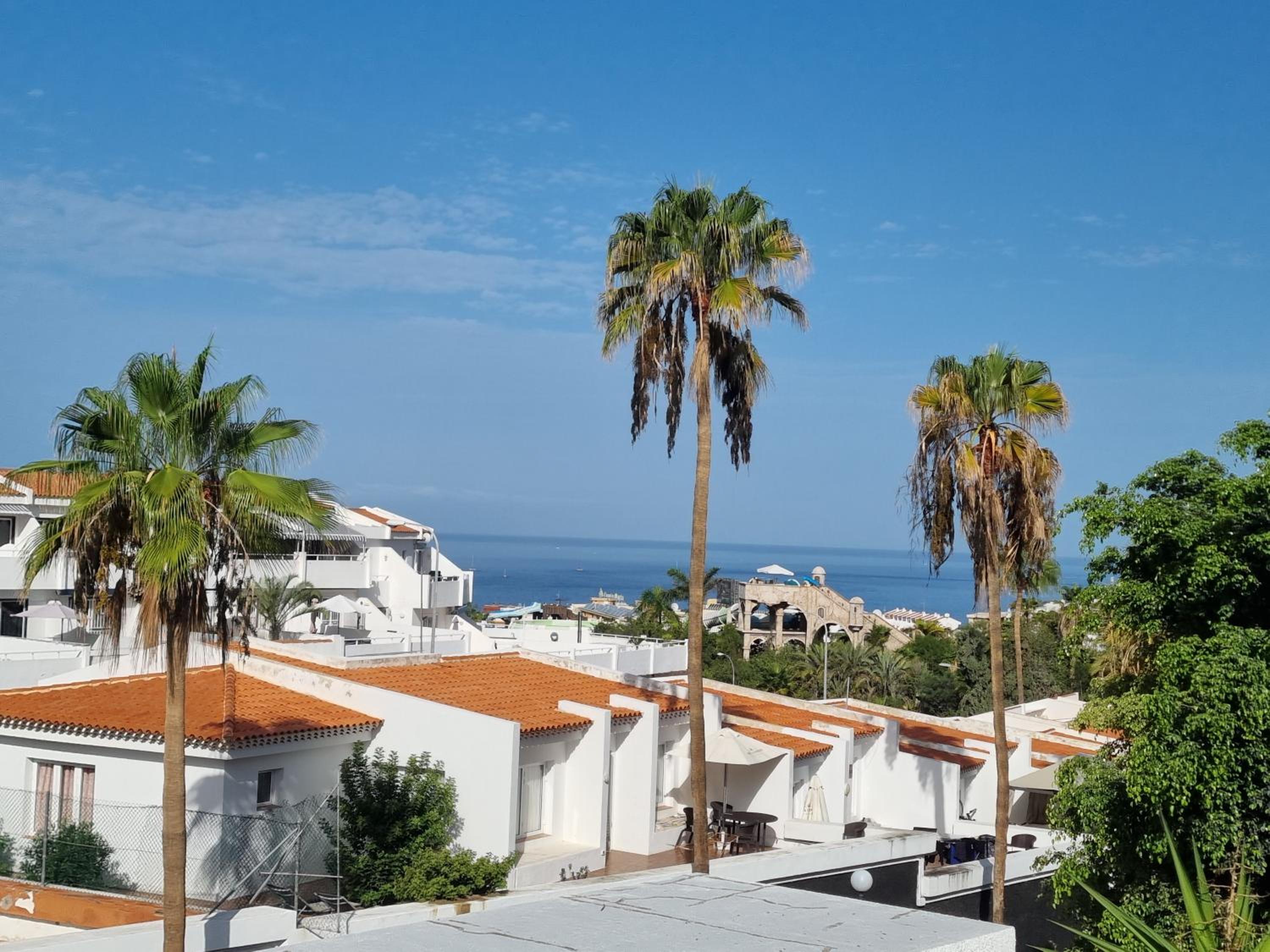 Casa de Palmeras