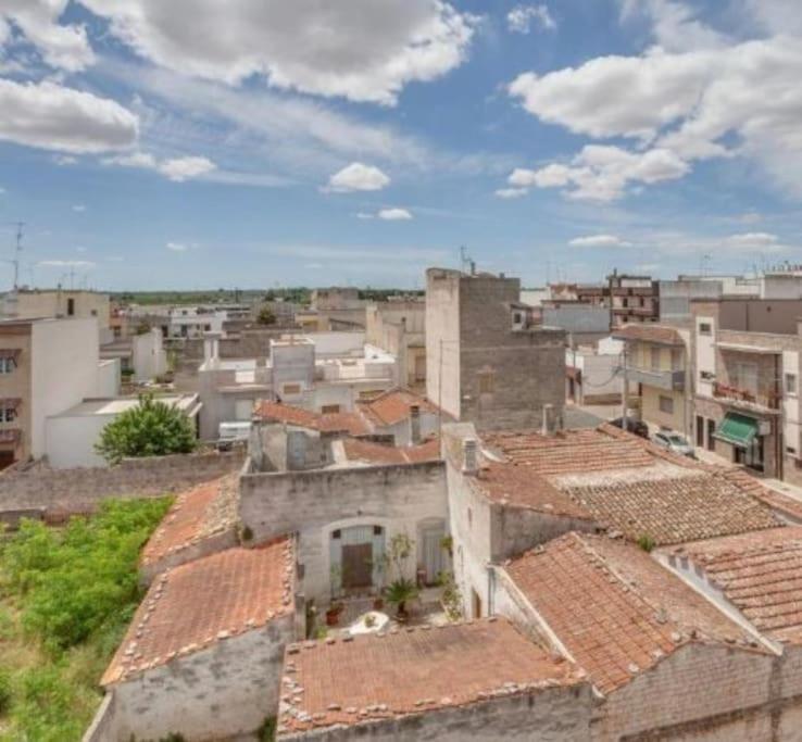 L'orchidea appartamento in Puglia