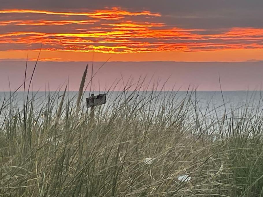 SATORI LODGE near the Dunes & the Beach