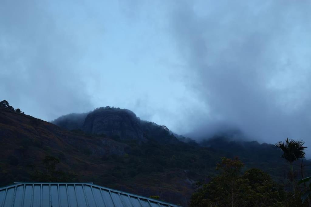 Solitude Munnar - Tree house