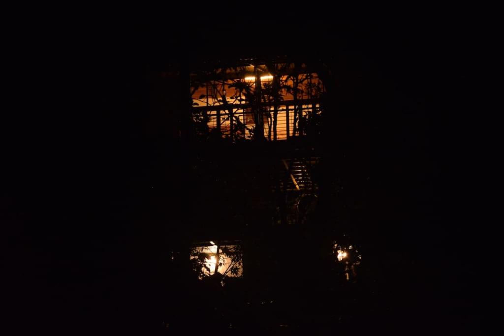 Solitude Munnar - Tree house