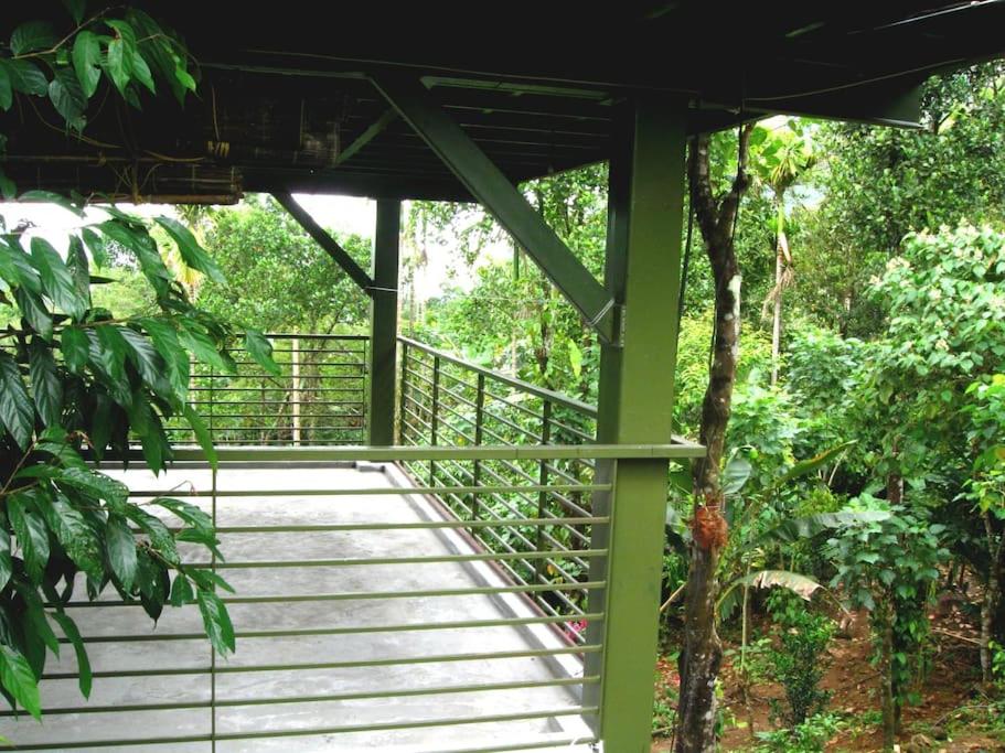 Solitude Munnar - Tree house