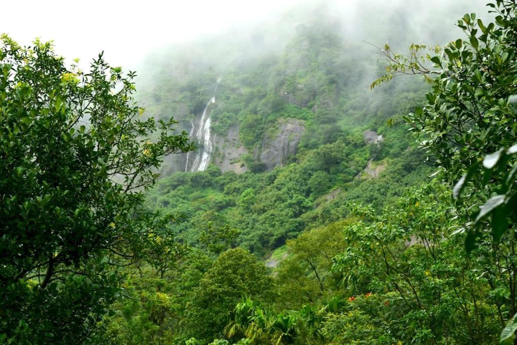 Solitude Munnar - Tree house