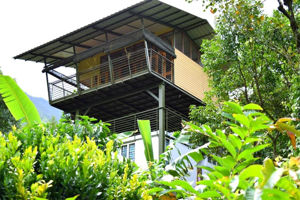Solitude Munnar - Tree house