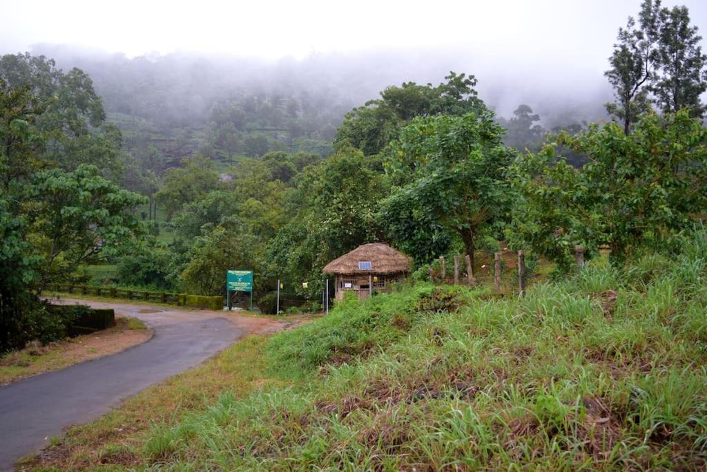Solitude Munnar - Tree house