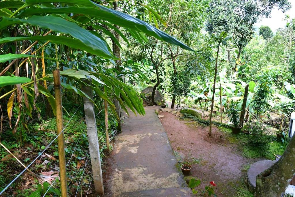 Solitude Munnar - Tree house
