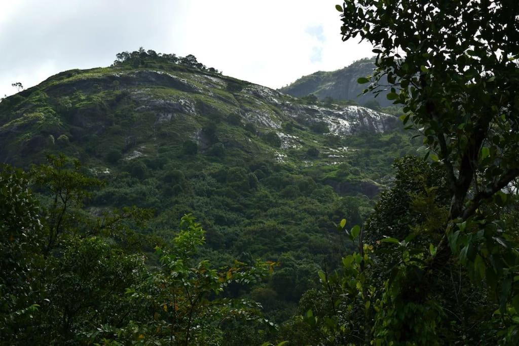 Solitude Munnar - Tree house