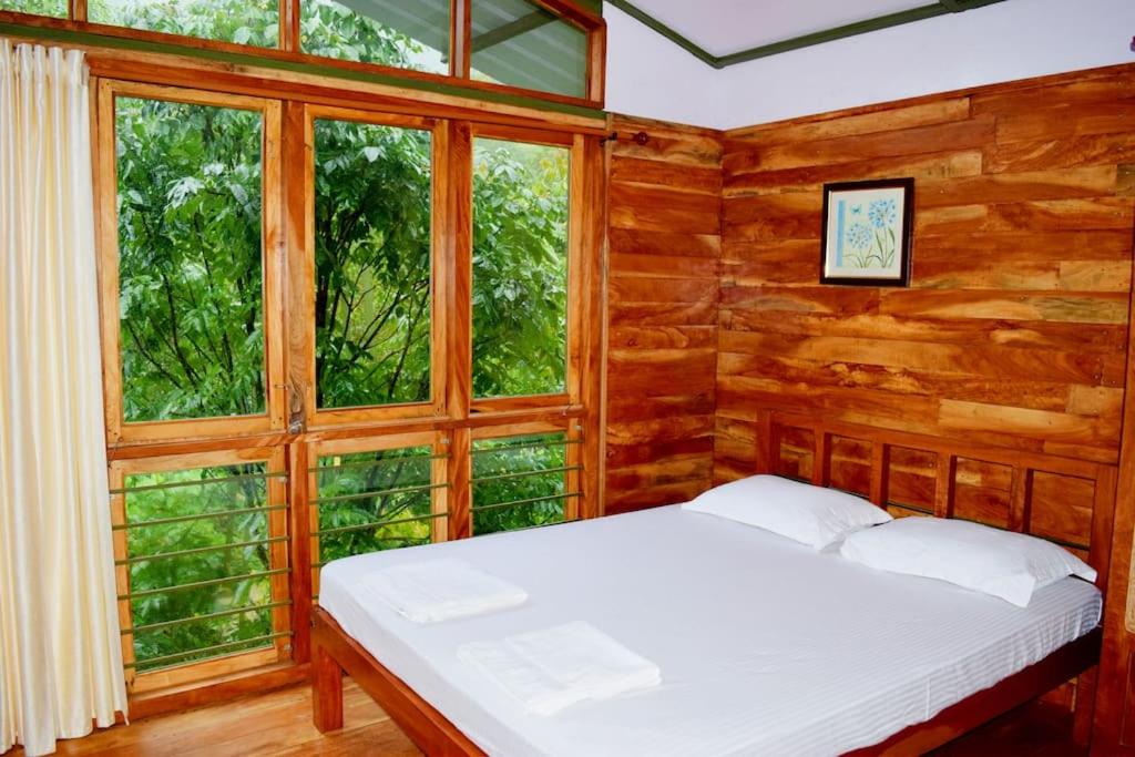 Solitude Munnar - Tree house
