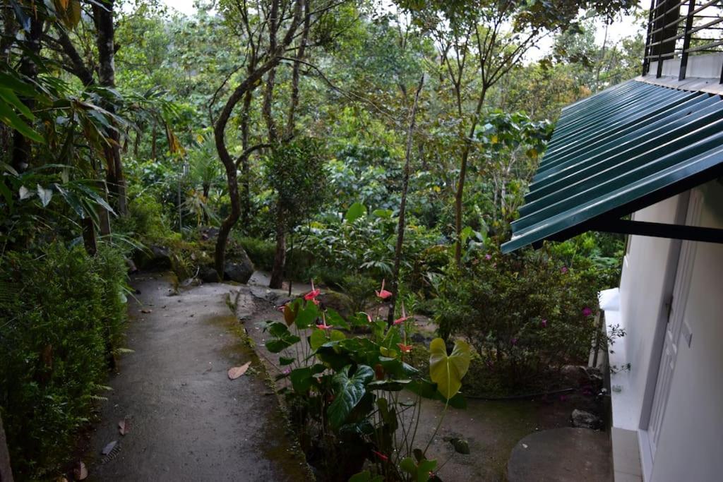 Solitude Munnar - Tree house