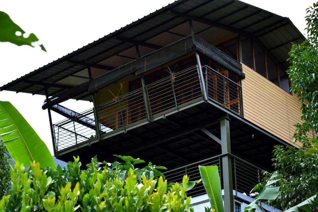 Solitude Munnar - Tree house