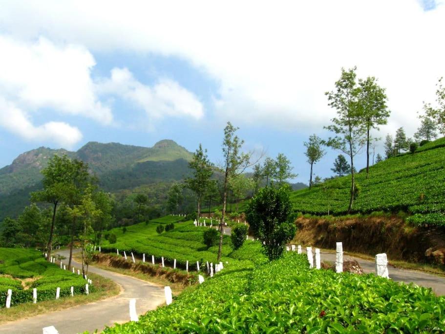 Solitude Munnar - Tree house
