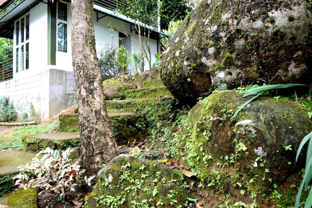 Solitude Munnar - Tree house