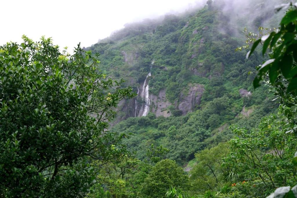 Solitude Munnar - Tree house