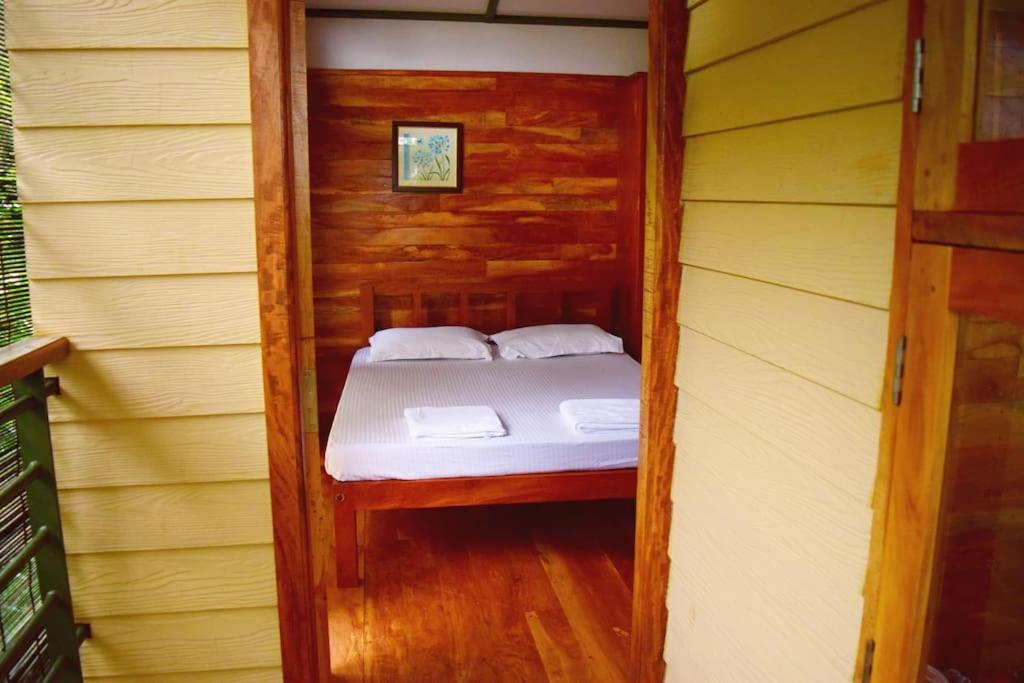 Solitude Munnar - Tree house