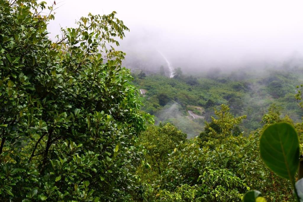 Solitude Munnar - Tree house