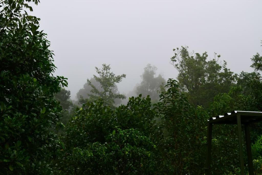 Solitude Munnar - Tree house