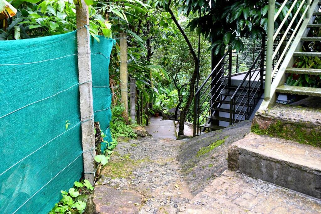 Solitude Munnar - Tree house