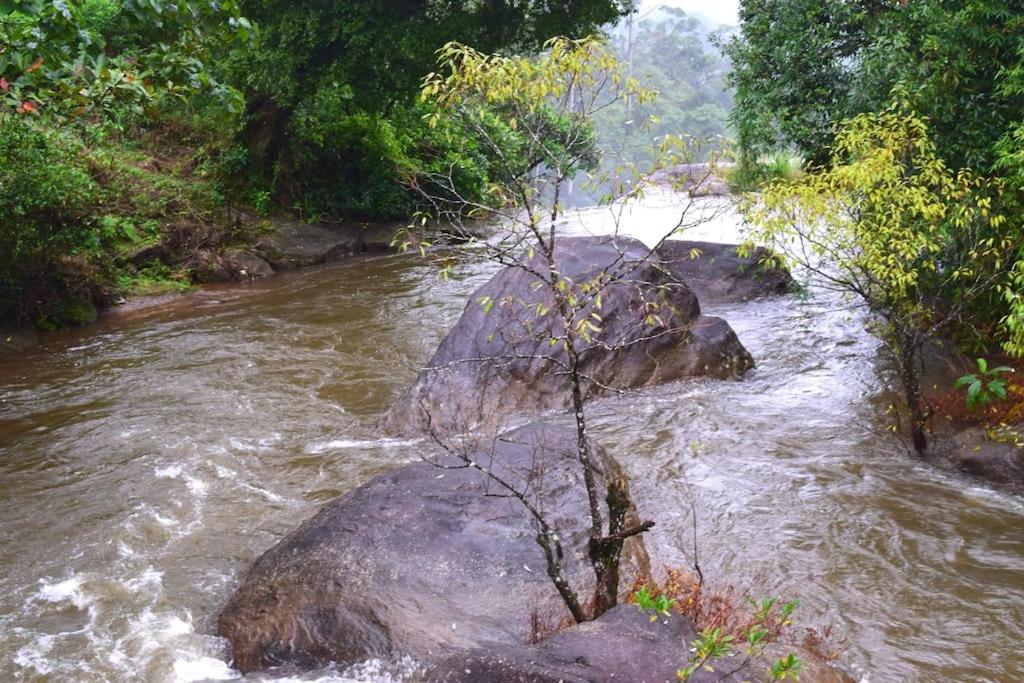 Solitude Munnar - Tree house
