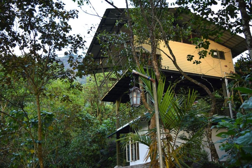 Solitude Munnar - Tree house