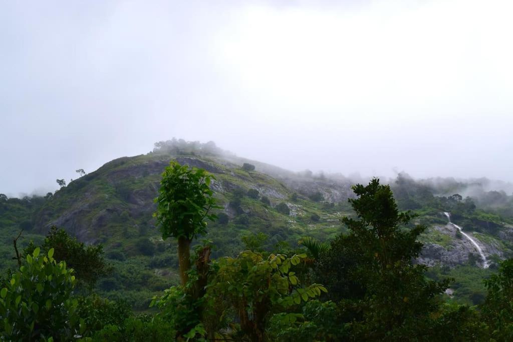 Solitude Munnar - Tree house