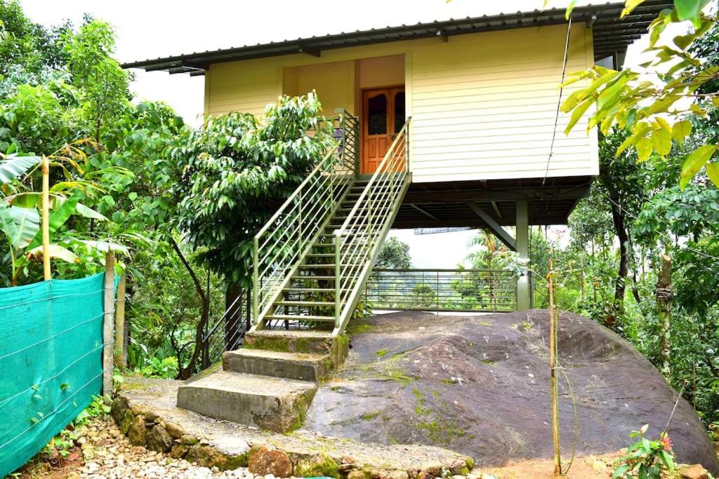 Solitude Munnar - Tree house
