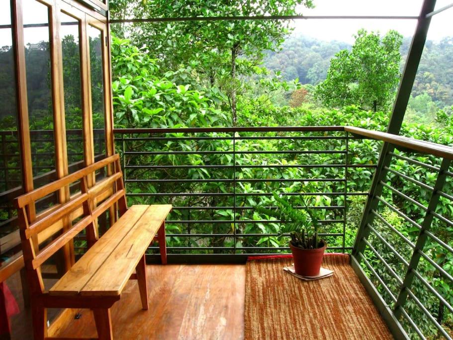 Solitude Munnar - Tree house