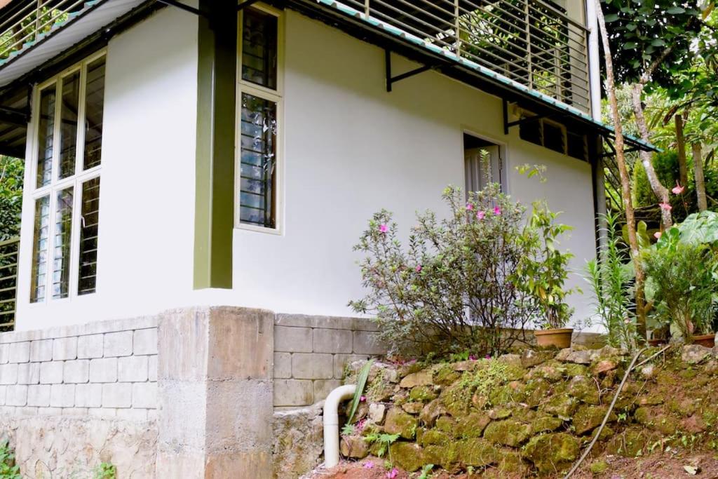 Solitude Munnar - Tree house