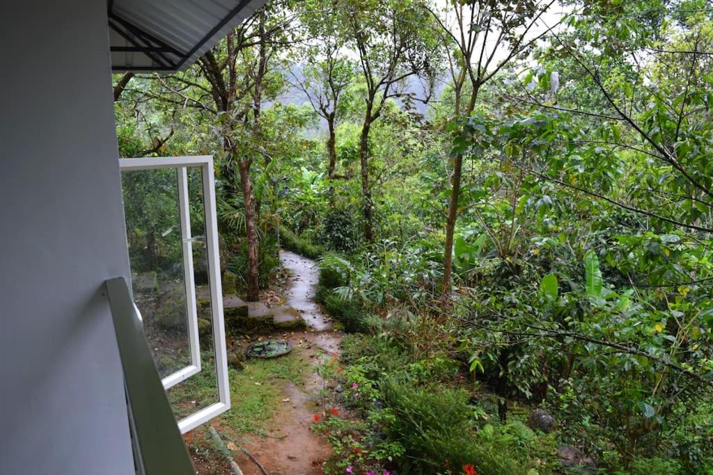 Solitude Munnar - Tree house