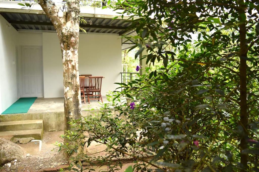 Solitude Munnar - Tree house