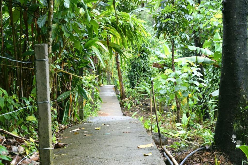 Solitude Munnar - Tree house