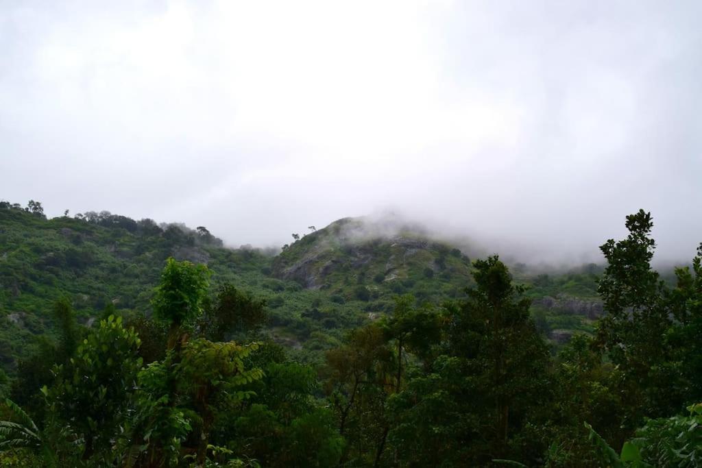 Solitude Munnar - Tree house