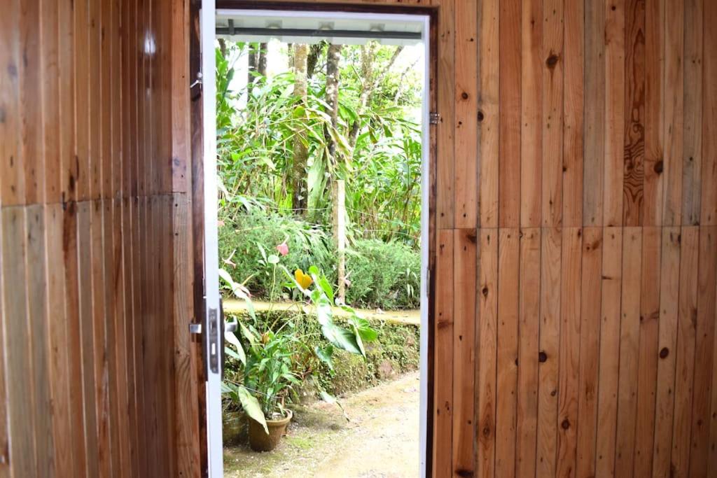 Solitude Munnar - Tree house