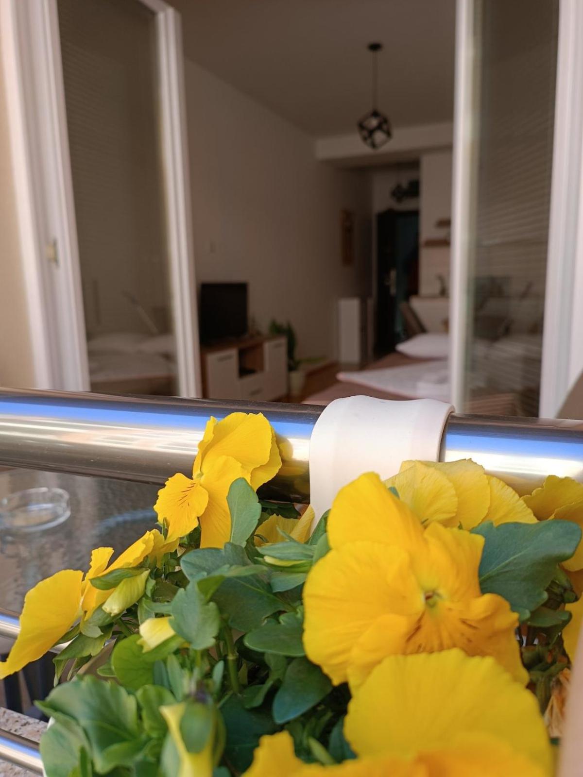 Apartment Risteski Lux view 3