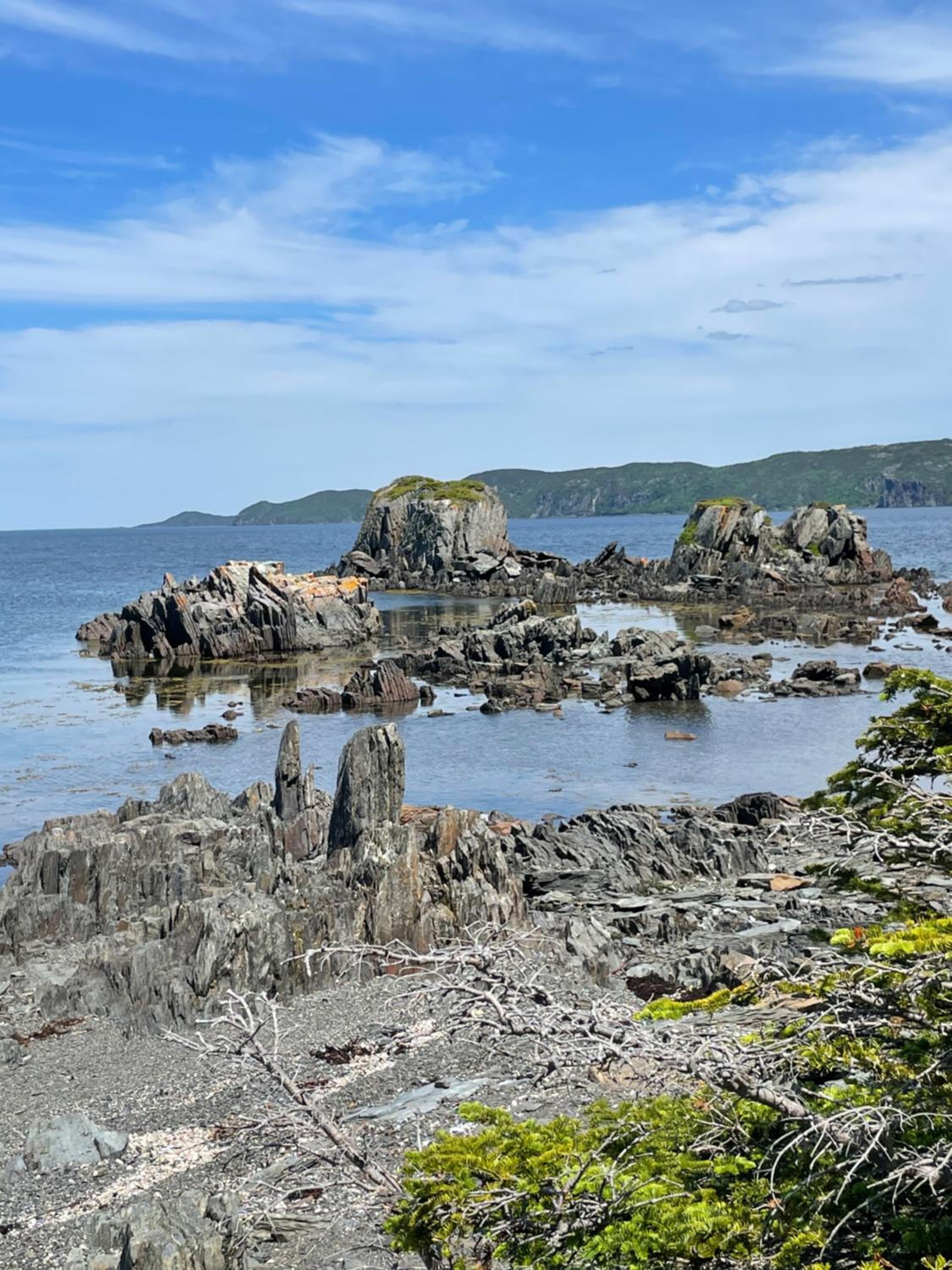 Squid Cove Cottage