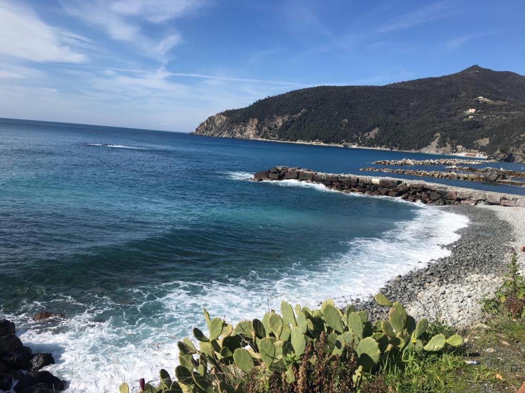 Moneglia Monte