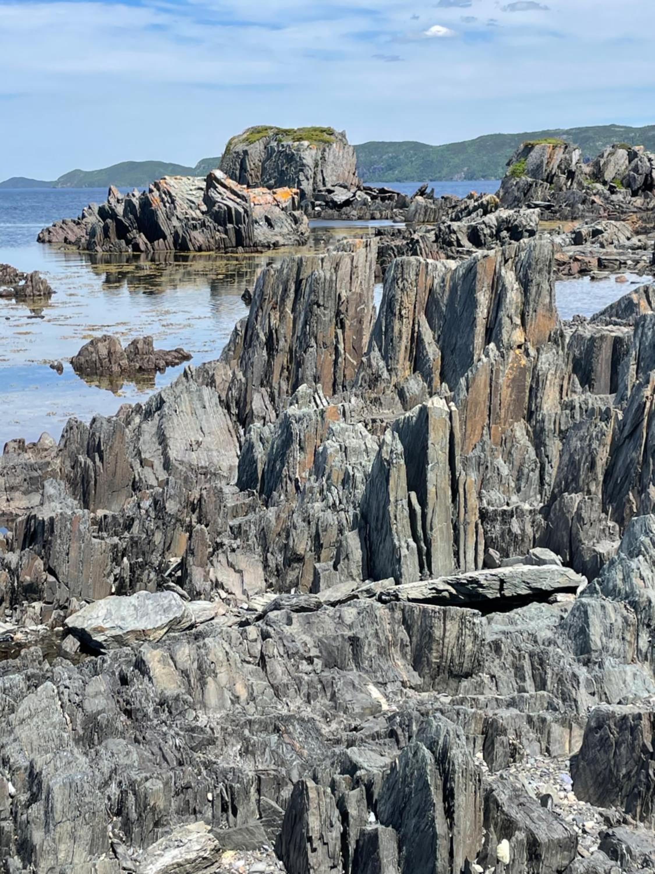 Squid Cove Cottage