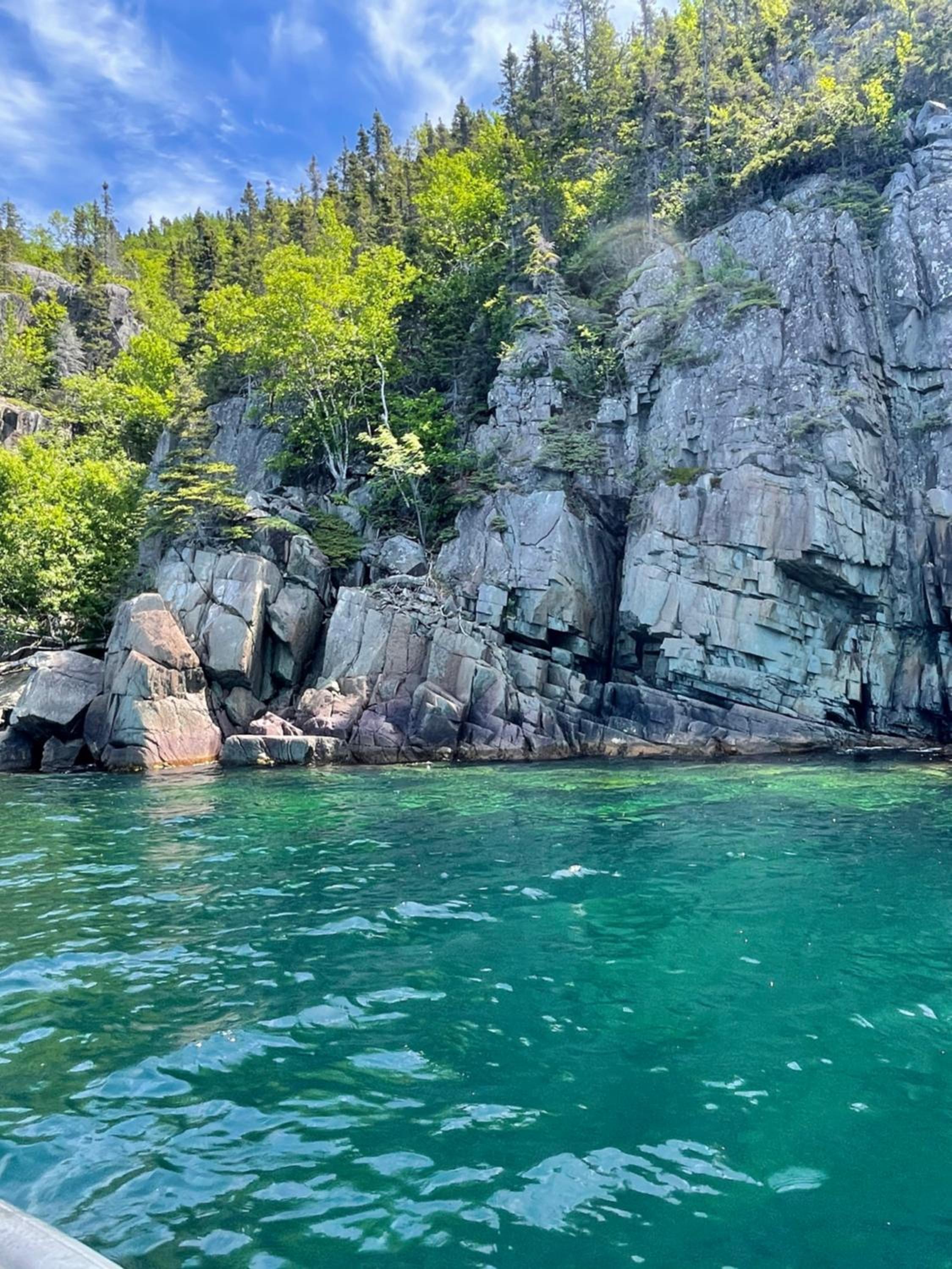 Squid Cove Cottage