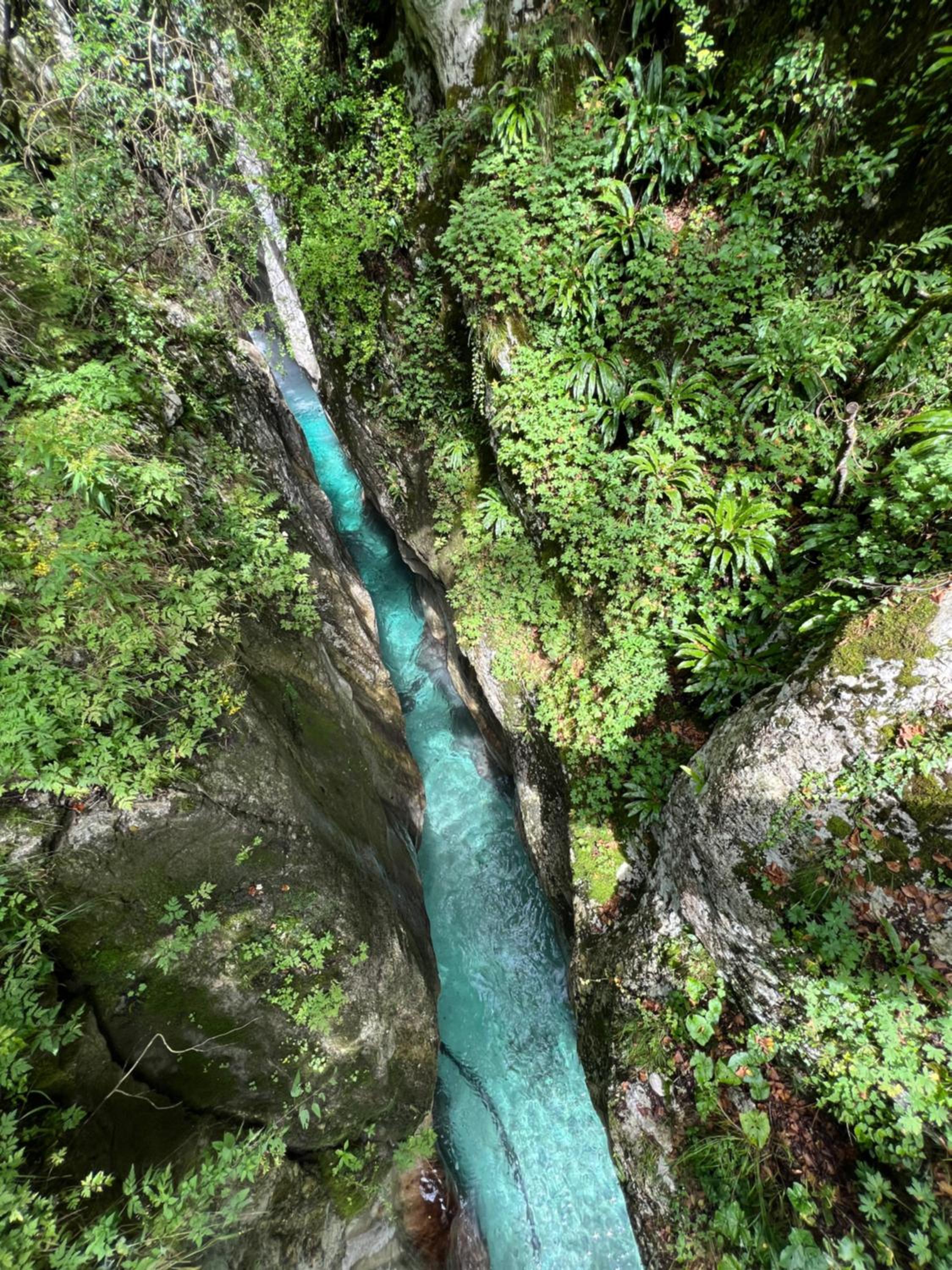Photo 47
